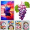 48 Color Colored Pencils Set for Coloring Books with 3-color Sketchbook coloring book Drawing kit Art Supplies with Roll up Canvas Case for Adults Beginners Teens